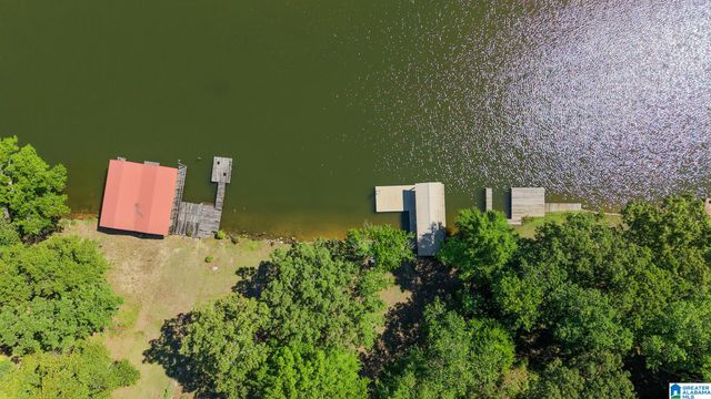 390 COOSA ISLAND ROAD, Cropwell, AL 35054