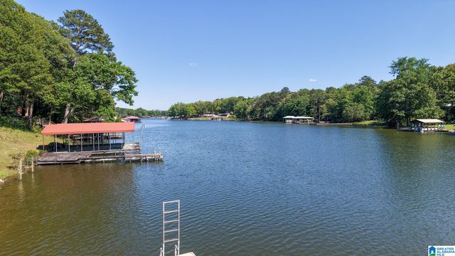 390 COOSA ISLAND ROAD, Cropwell, AL 35054