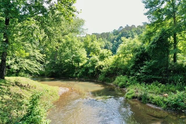 6389 Old Hwy 64 W, Warne, NC 28909