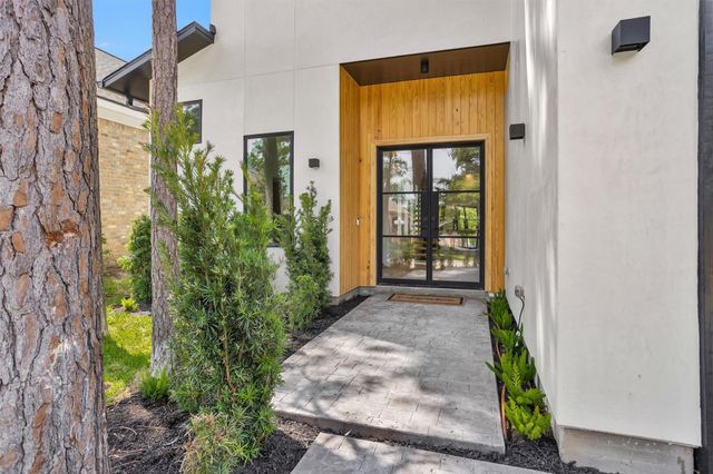 36 Winthrop Harbor, Montgomery, TX 77356