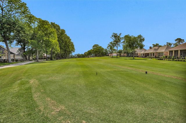 36 Winthrop Harbor, Montgomery, TX 77356