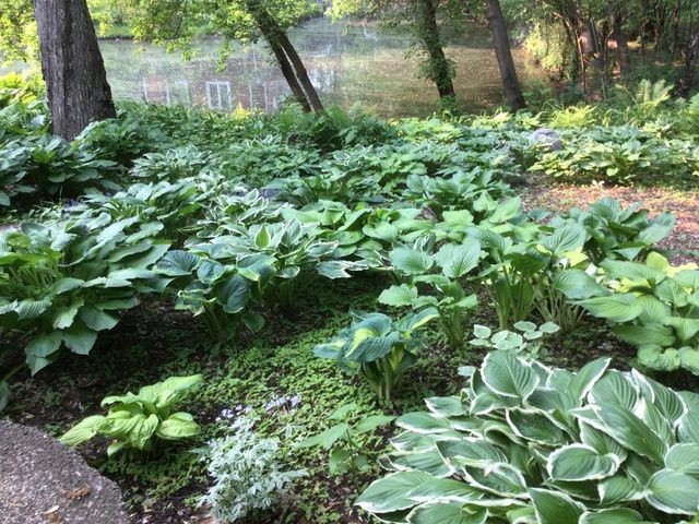 4315 Woods Way, Minnetonka, MN 55345