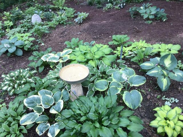 4315 Woods Way, Minnetonka, MN 55345