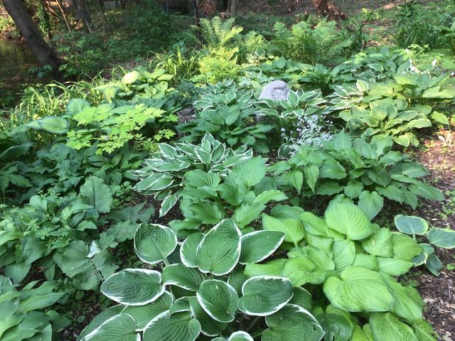 4315 Woods Way, Minnetonka, MN 55345