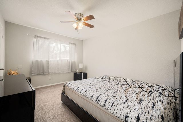 9019 Grape Street, Houston, TX 77036