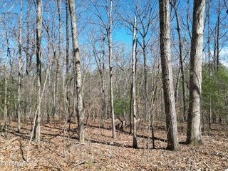 222 Sheffield Drive, Crossville, TN 38558