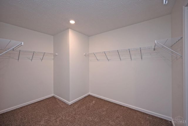 119 Settlers Trail, Union, OH 45322