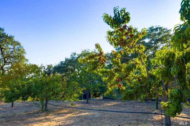 24000 Fig Tree Ln, Yorkville, CA 95494