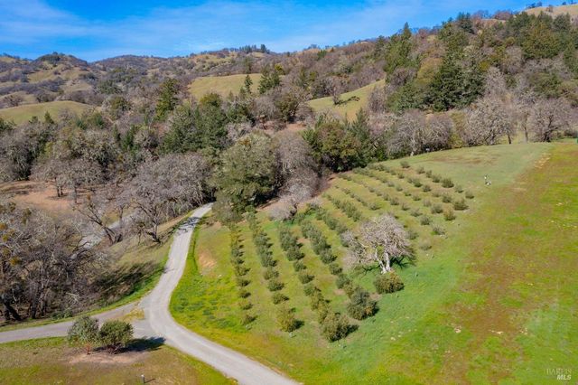 24000 Fig Tree Ln, Yorkville, CA 95494