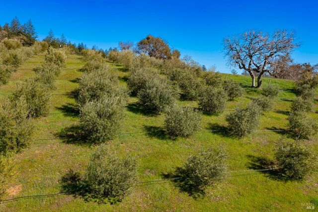 24000 Fig Tree Ln, Yorkville, CA 95494