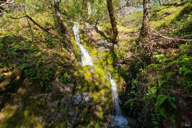 24000 Fig Tree Ln, Yorkville, CA 95494