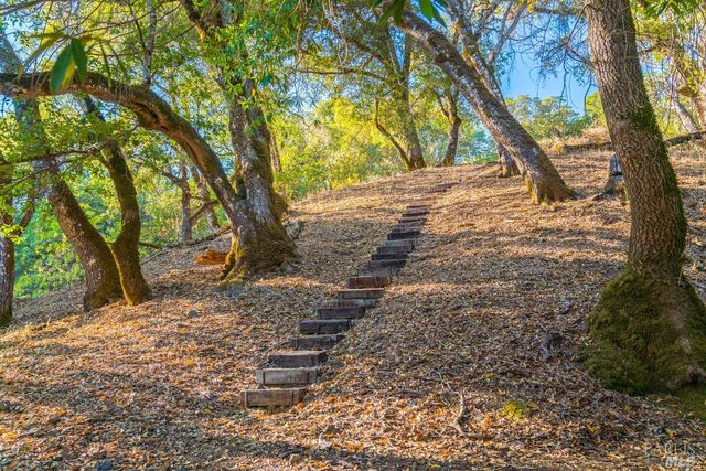 24000 Fig Tree Ln, Yorkville, CA 95494