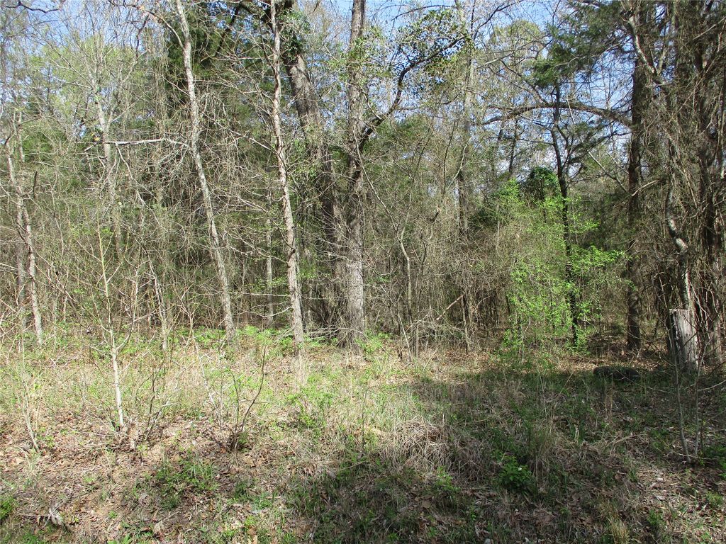 TBD County Road 2958, Alba, TX 75410