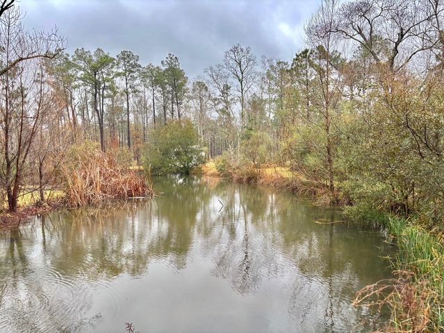 4091 Hecker Rd, Iowa, LA 70647