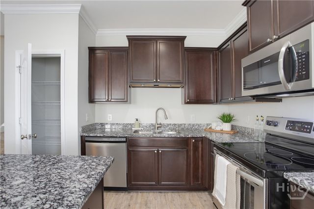 163 Horizon Lane, Richmond Hill, GA 31324