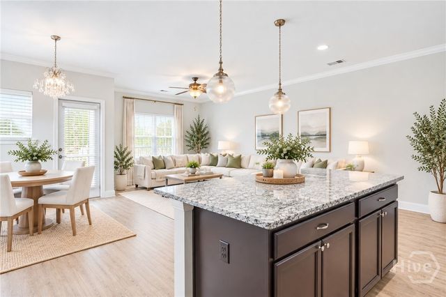 163 Horizon Lane, Richmond Hill, GA 31324