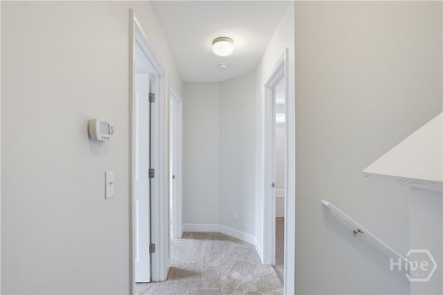 163 Horizon Lane, Richmond Hill, GA 31324