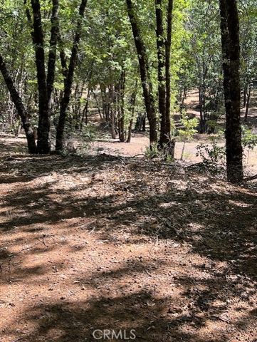 9208 Diamond Dust, Kelseyville, CA 95451