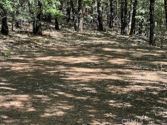 9208 Diamond Dust, Kelseyville, CA 95451