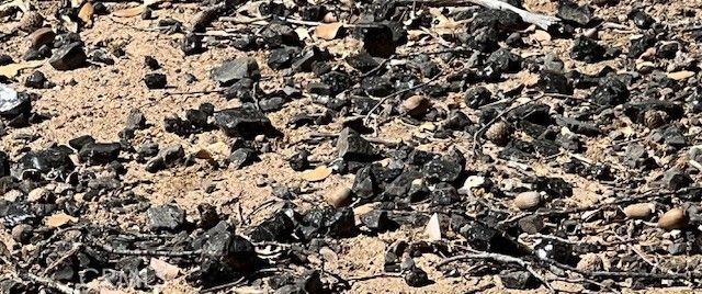 9208 Diamond Dust, Kelseyville, CA 95451