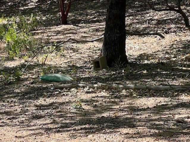 9208 Diamond Dust, Kelseyville, CA 95451