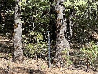 9208 Diamond Dust, Kelseyville, CA 95451