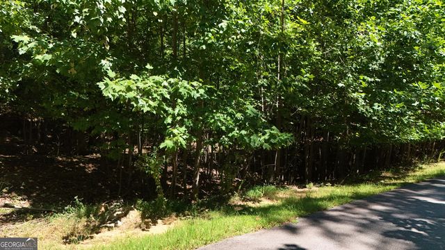 LOT 229 Stone Cliff Trace, Cleveland, GA 30528