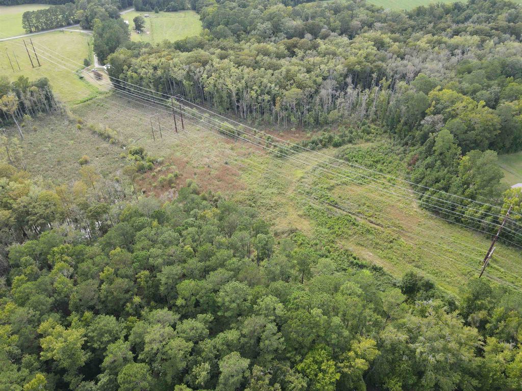 TBD Mosdell Dr., Conway, SC 29527 — photo 5