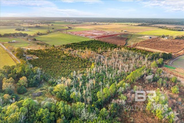 0 S County Road 48, Robertsdale, AL 36567