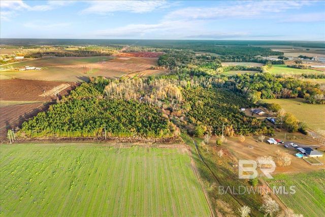 0 S County Road 48, Robertsdale, AL 36567