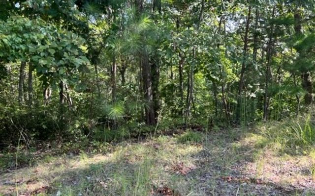 LT 60 Honeysuckle Way, Ellijay, GA 30540