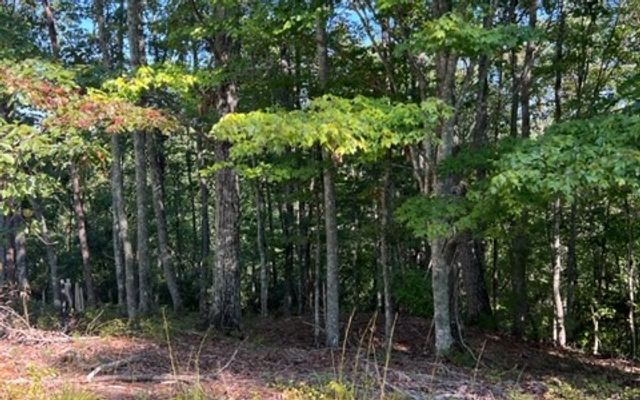 LT 60 Honeysuckle Way, Ellijay, GA 30540