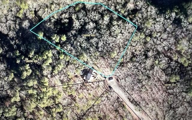LT 60 Honeysuckle Way, Ellijay, GA 30540