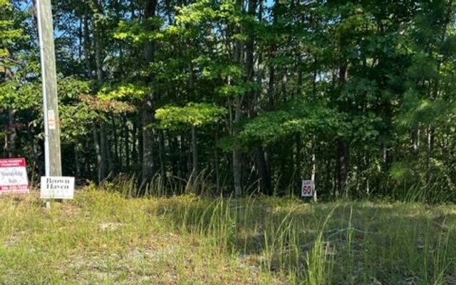 LT 60 Honeysuckle Way, Ellijay, GA 30540