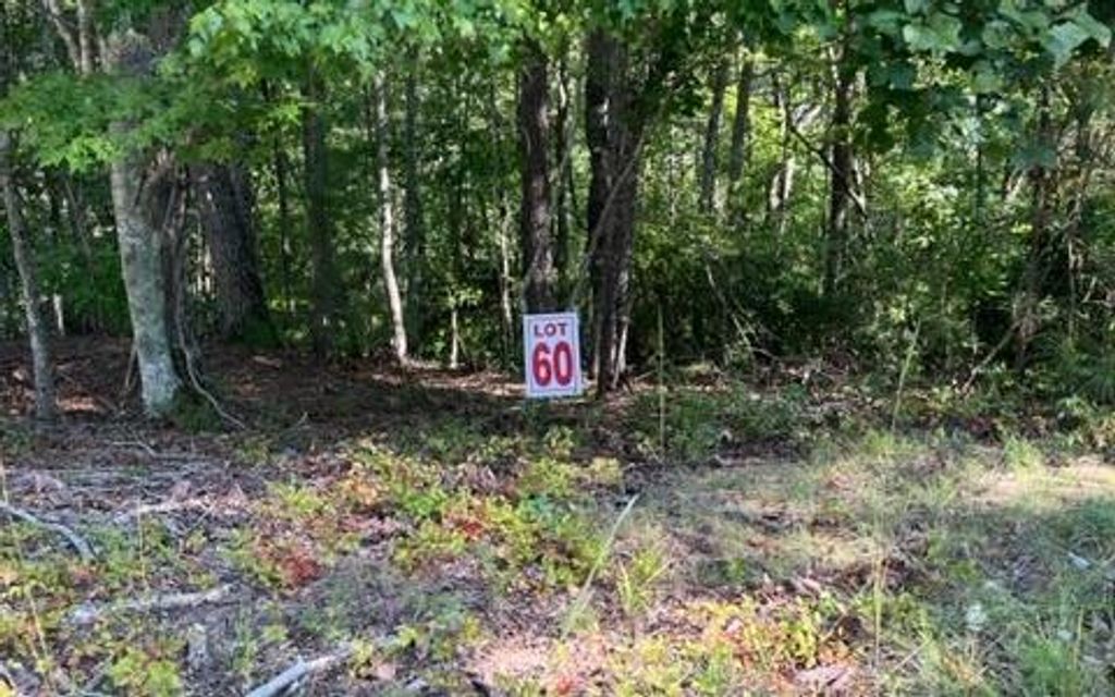 LT 60 Honeysuckle Way, Ellijay, GA 30540
