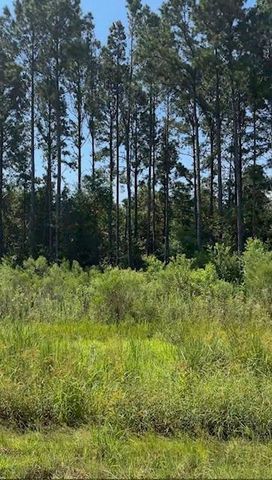 2141 Road 660, Dayton, TX 77535