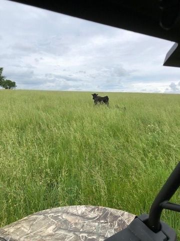 20886 E B HWY Highway, Sheldon, MO 64784