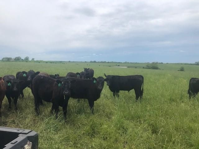 20886 E B HWY Highway, Sheldon, MO 64784