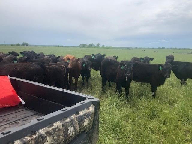 20886 E B HWY Highway, Sheldon, MO 64784