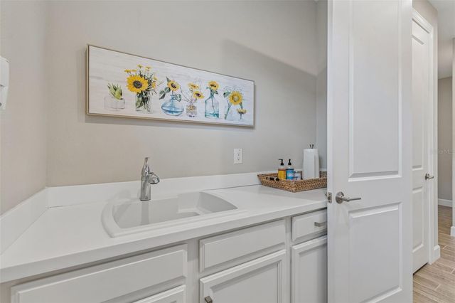4333 CAIROLI COURT, Wesley Chapel, FL 33543
