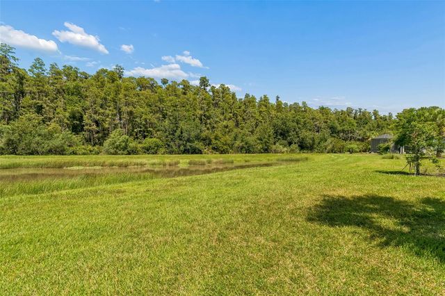 4333 CAIROLI COURT, Wesley Chapel, FL 33543