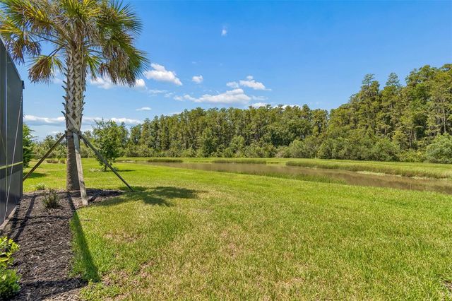 4333 CAIROLI COURT, Wesley Chapel, FL 33543