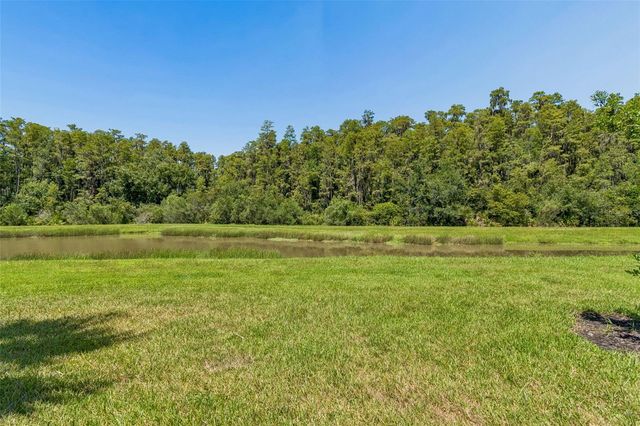 4333 CAIROLI COURT, Wesley Chapel, FL 33543