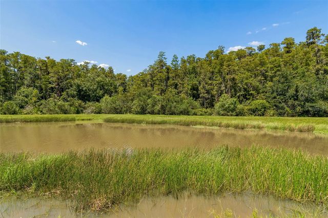 4333 CAIROLI COURT, Wesley Chapel, FL 33543