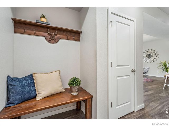 3787 River Birch Street, Wellington, CO 80549