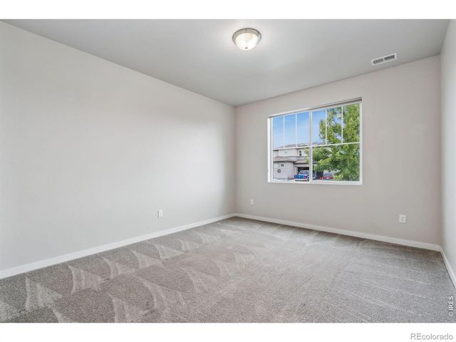 3787 River Birch Street, Wellington, CO 80549