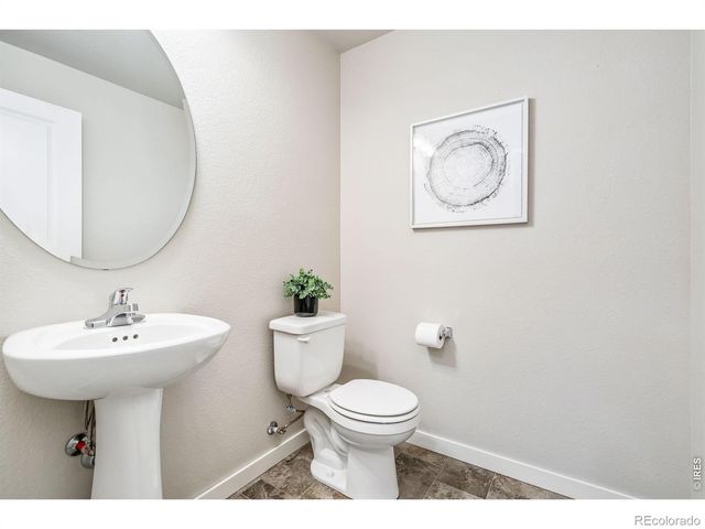 3787 River Birch Street, Wellington, CO 80549