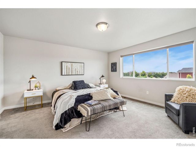 3787 River Birch Street, Wellington, CO 80549