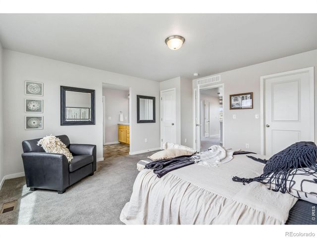3787 River Birch Street, Wellington, CO 80549