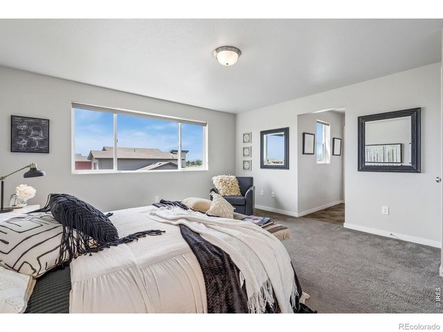 3787 River Birch Street, Wellington, CO 80549